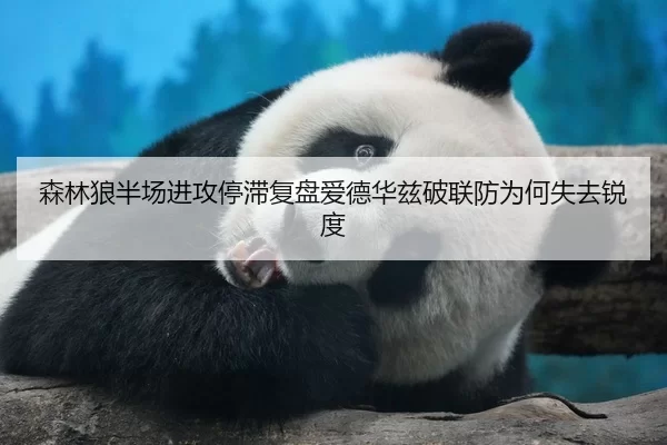 森林狼半场进攻停滞复盘爱德华兹破联防为何失去锐度