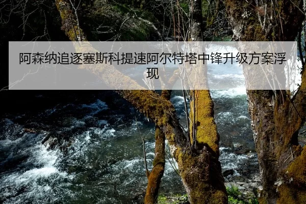 阿森纳追逐塞斯科提速阿尔特塔中锋升级方案浮现