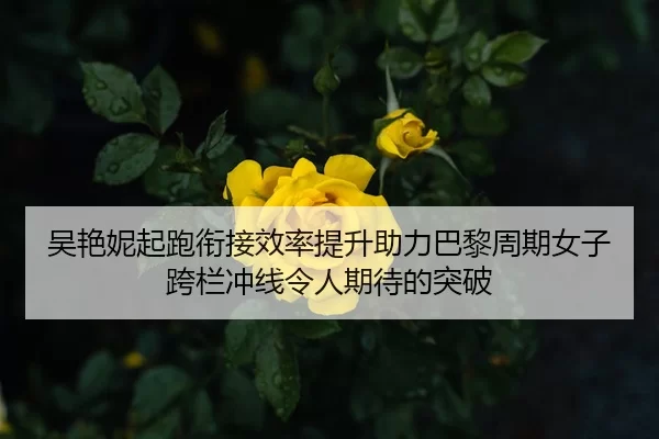 吴艳妮起跑衔接效率提升助力巴黎周期女子跨栏冲线令人期待的突破