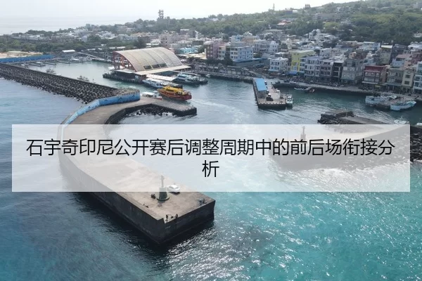 石宇奇印尼公开赛后调整周期中的前后场衔接分析