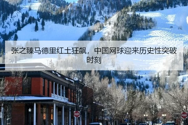 zhang-zhi-zhen-ma-de-li-hong-tu-kuang-biao-zhong-guo-wang-qiu-ying-lai-li-shi-xing-tu-po-shi-ke-2-875.jpg