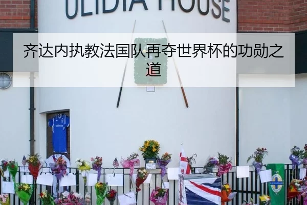 齐达内执教法国队再夺世界杯的功勋之道