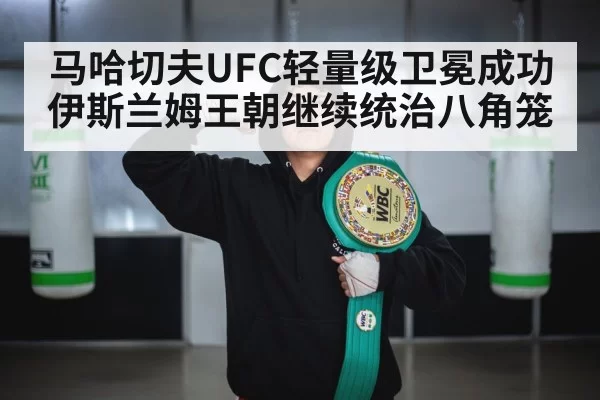 UFC championship belt